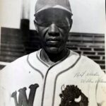 THE NEGRO LEAGUE   more than 40 Teams and  more than 275 Players