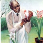 African Americana Inventors  ( double click below) next page)
